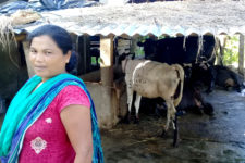 ufO{kfngaf6 kof{Kt cfo lrtjgsf] kbdk'/df ufO{kfngdf ;lqmo /x]/ hlnof dxQf]n] kof{Kt cfo cfh{g ug{ ;kmn ePsL 5g . tl:a/ M gf/fo0f 9'+ufgf, /Tggu/-lrtjg_, /f;;