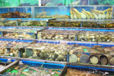 Fish tank in market at Hong Kong