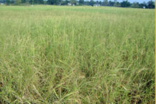 ???????? ??????? ????  ??????? ????????? ??????? ???? u/]kl5 ???????? ????????, ??????????? ????sf   ???? ??????? ???? ??? ? tl:a/M d]gsf rf}w/L alb{of