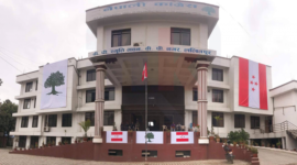 nc-party-office-800x445