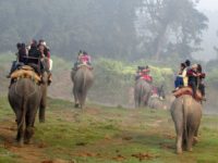 Rss_Images_1480575850092_NA_Chitwan_160927_-1