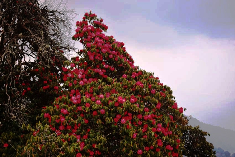 ?????????????????????????????????????????????????????????